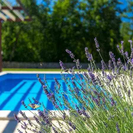 Funcici Holiday home